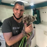 Professional pet grooming team members providing mobile grooming services to dogs